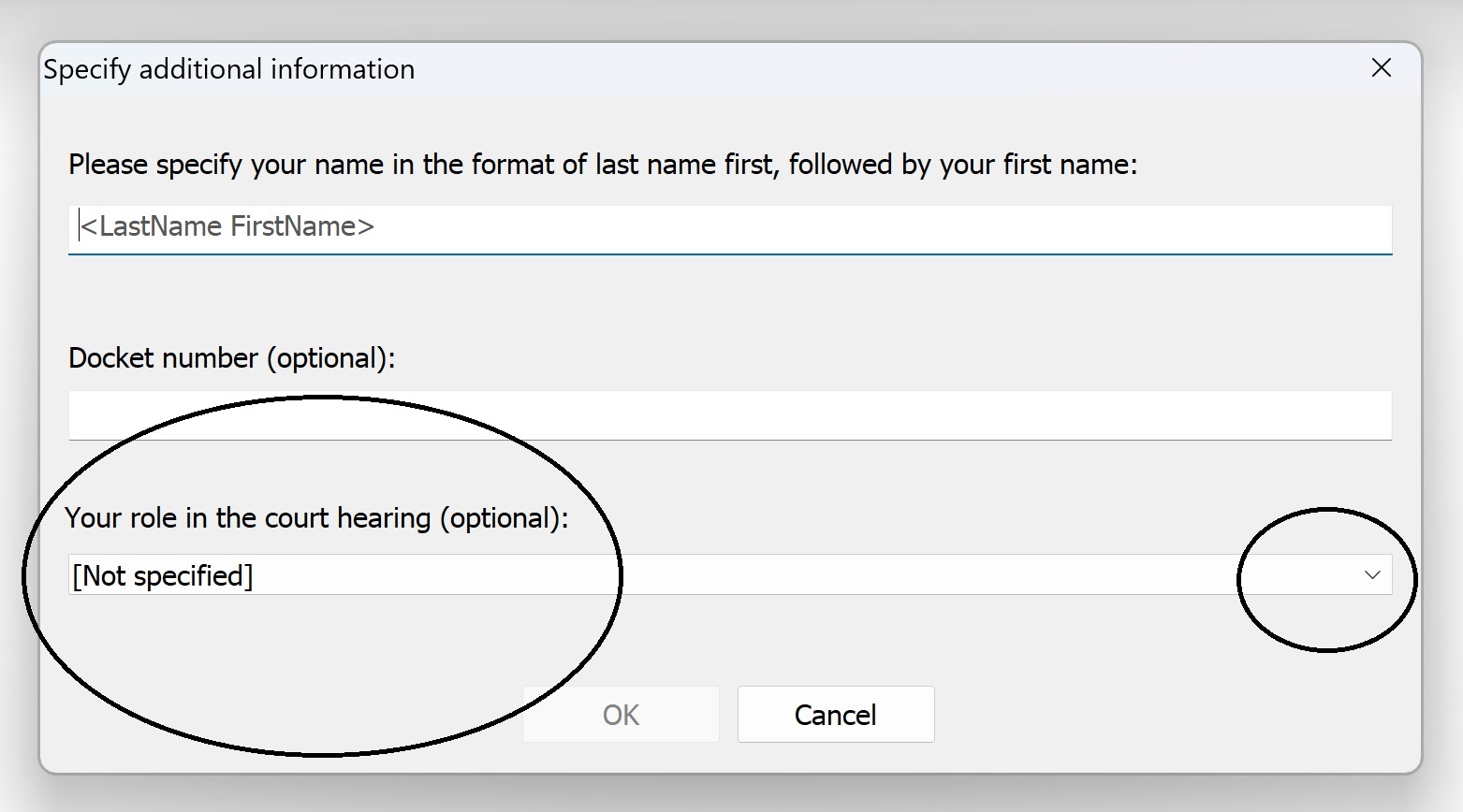 Prompt for User Name and Case or Docket Number and Role